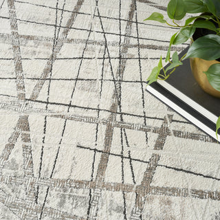 Nourison Desire DSR03 Grey Silver Area Rug Corner Image