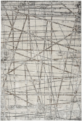 Nourison Desire DSR03 Grey Silver Area Rug main image