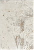 Nourison Desire DSR04 Cream Grey Area Rug Main Image