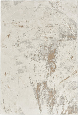Nourison Desire DSR04 Cream Grey Area Rug Main Image