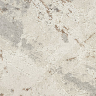Nourison Desire DSR04 Cream Grey Area Rug Swatch Image