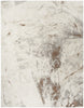 Nourison Desire DSR04 Cream Grey Area Rug Main Image