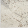 Nourison Desire DSR04 Cream Grey Area Rug Corner Image