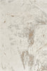 Nourison Desire DSR04 Cream Grey Area Rug Main Image