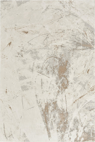 Nourison Desire DSR04 Cream Grey Area Rug Main Image