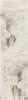 Nourison Desire DSR04 Cream Grey Area Rug Main Image