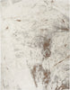 Nourison Desire DSR04 Cream Grey Area Rug main image