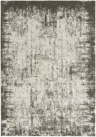 Nourison Desire DSR05 Grey/Ivory Area Rug Main Image
