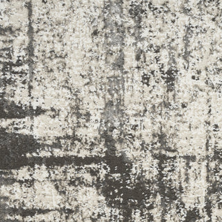 Nourison Desire DSR05 Grey/Ivory Area Rug Swatch Image