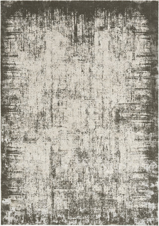 Nourison Desire DSR05 Grey/Ivory Area Rug Main Image