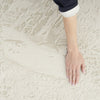 Nourison Desire DSR06 Ivory Area Rug Room Image Feature