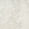 Nourison Desire DSR06 Ivory Area Rug Swatch Image