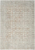 Nourison Desire DSR07 Ivory Beige Area Rug Main Image