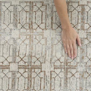 Nourison Desire DSR07 Ivory Beige Area Rug Room Image Feature