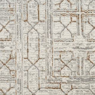 Nourison Desire DSR07 Ivory Beige Area Rug Swatch Image
