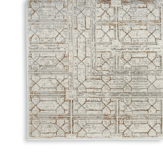 Nourison Desire DSR07 Ivory Beige Area Rug Texture Image