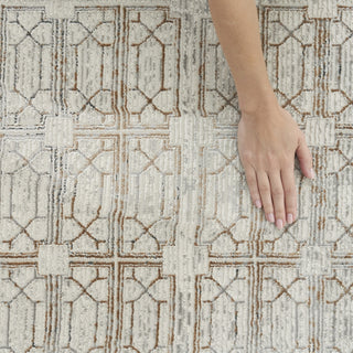 Nourison Desire DSR07 Ivory Beige Area Rug Corner Image
