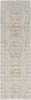 Nourison Desire DSR07 Ivory Beige Area Rug Main Image