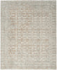 Nourison Desire DSR07 Ivory Beige Area Rug Main Image