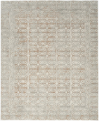 Nourison Desire DSR07 Ivory Beige Area Rug Main Image