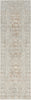 Nourison Desire DSR07 Ivory Beige Area Rug Main Image