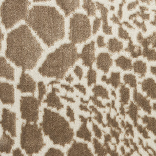 Nourison Desire DSR08 Camel Silver Area Rug Close Up