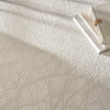 Nourison Desire DSR09 Beige Area Rug Texture Image