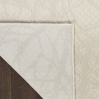 Nourison Desire DSR09 Beige Area Rug Corner Image