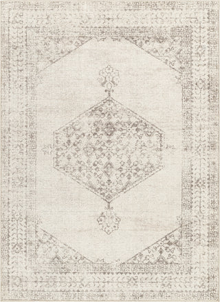 Surya Downtown DTW-2324 Area Rug