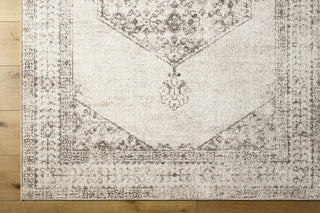 Surya Downtown DTW-2324 Area Rug