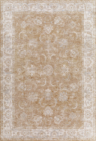 Livabliss Da Vinci DVC-2300 Area Rug by Surya main image