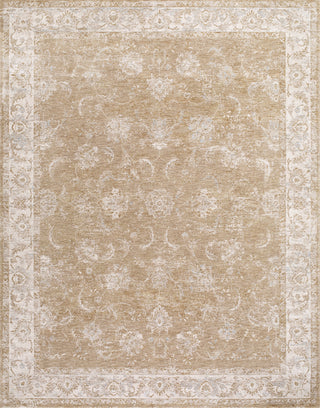 Livabliss Da Vinci DVC-2300 Area Rug by Surya Main