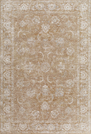 Livabliss Da Vinci DVC-2301 Area Rug by Surya main image