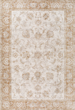 Livabliss Da Vinci DVC-2302 Area Rug by Surya main image