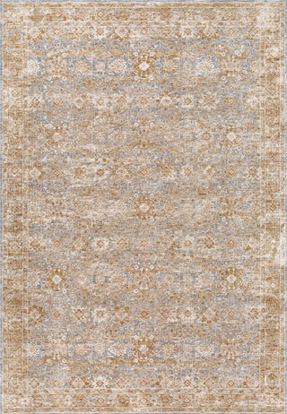Livabliss Da Vinci DVC-2303 Area Rug by Surya main image