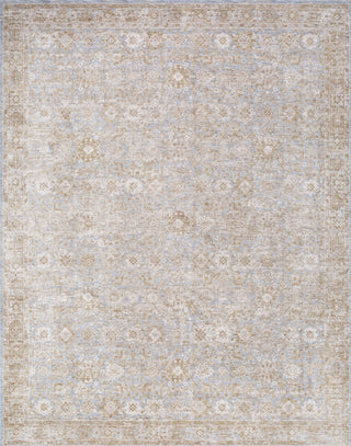 Livabliss Da Vinci DVC-2303 Area Rug by Surya Main