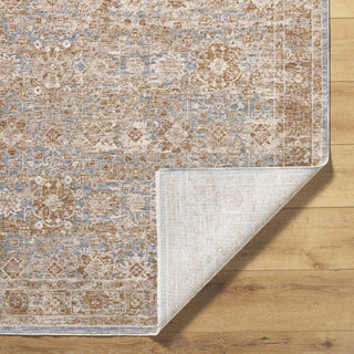 Livabliss Da Vinci DVC-2303 Area Rug by Surya Pile