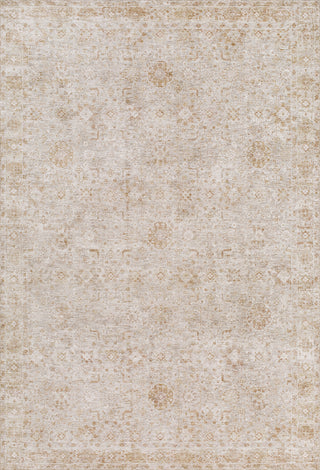 Livabliss Da Vinci DVC-2304 Area Rug by Surya main image