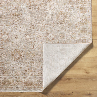 Livabliss Da Vinci DVC-2304 Area Rug by Surya Pile