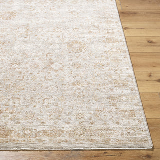 Livabliss Da Vinci DVC-2304 Area Rug by Surya Angle