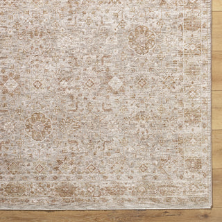 Livabliss Da Vinci DVC-2304 Area Rug by Surya Detail