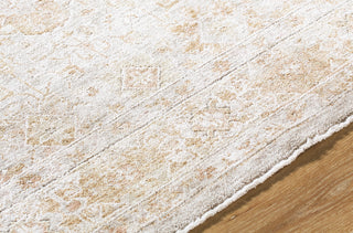 Livabliss Da Vinci DVC-2304 Area Rug by Surya Detail