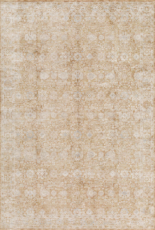 Livabliss Da Vinci DVC-2305 Area Rug by Surya main image
