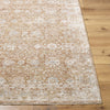 Livabliss Da Vinci DVC-2305 Area Rug by Surya Angle