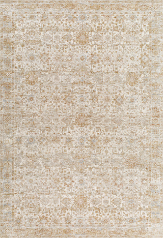 Livabliss Da Vinci DVC-2306 Area Rug by Surya main image