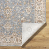 Livabliss Da Vinci DVC-2307 Sage Area Rug Pile