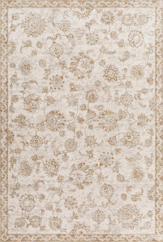 Livabliss Da Vinci DVC-2310 Area Rug by Surya main image