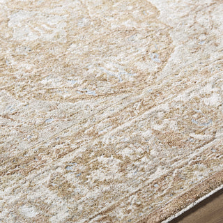 Livabliss Da Vinci DVC-2313 'taupe Area Rug Detail