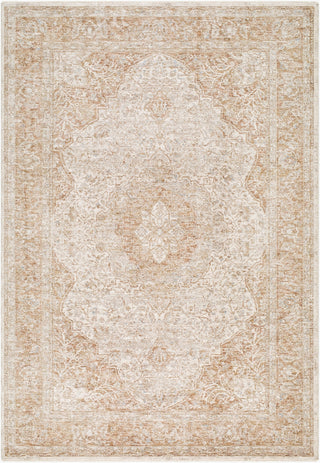 Livabliss Da Vinci DVC-2315 Taupe Area Rug main image
