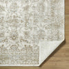 Livabliss Da Vinci DVC-2316 Ivory Area Rug Pile